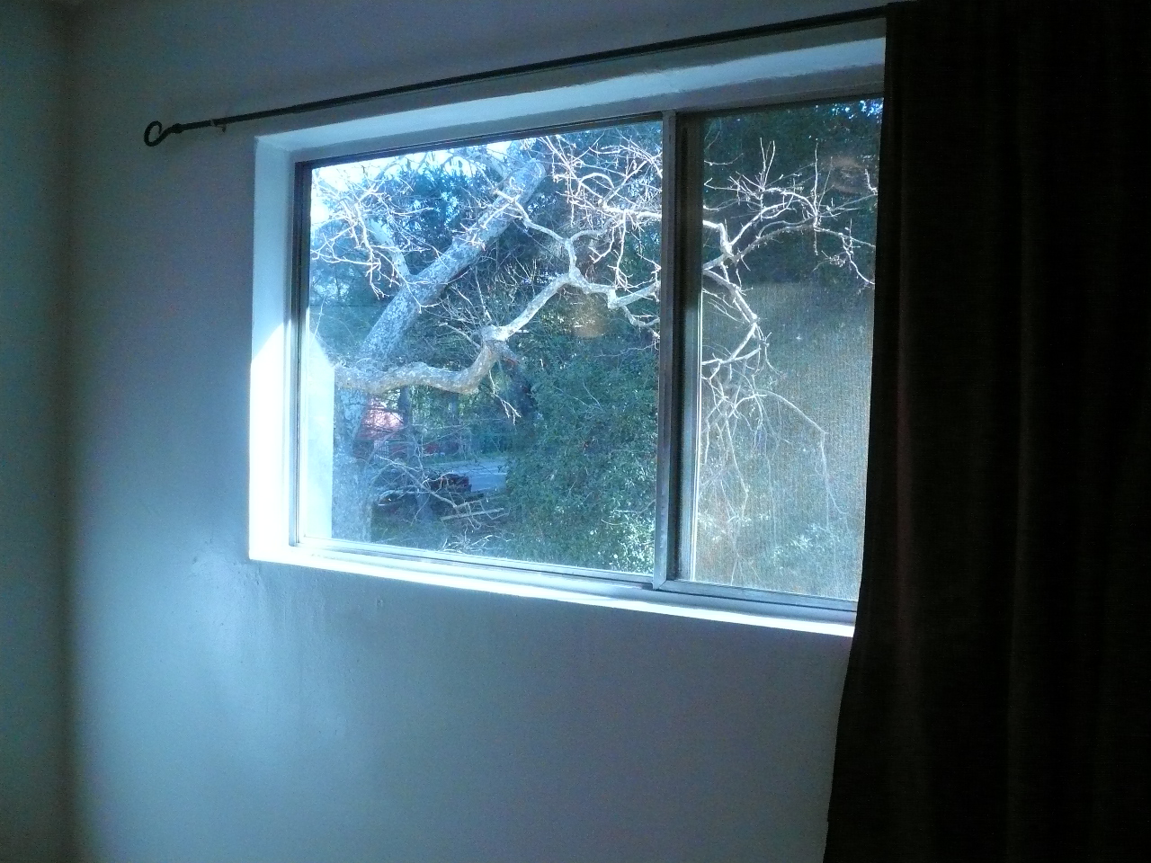 Bedroom view - winter naked tree 2