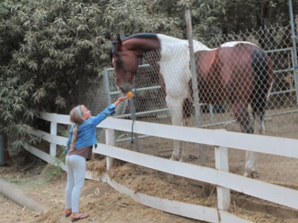 t - Horse and girl - North Sky Ranch