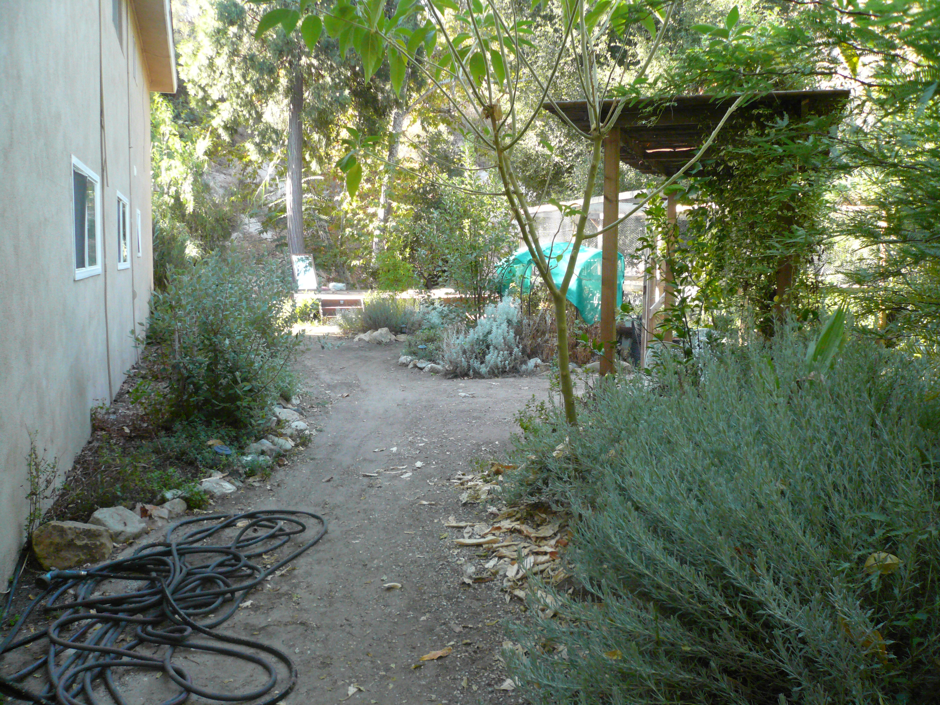 ya-Back Yard from north